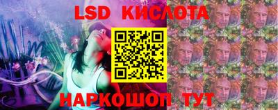 стаф Кунгур