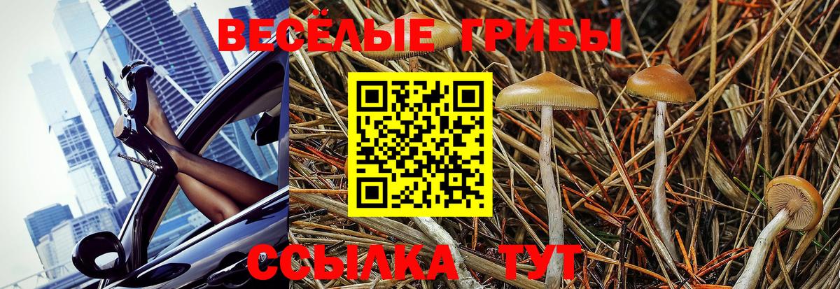 Псилоцибиновые грибы Psilocybine cubensis  Вход с VPN  Ярославль 