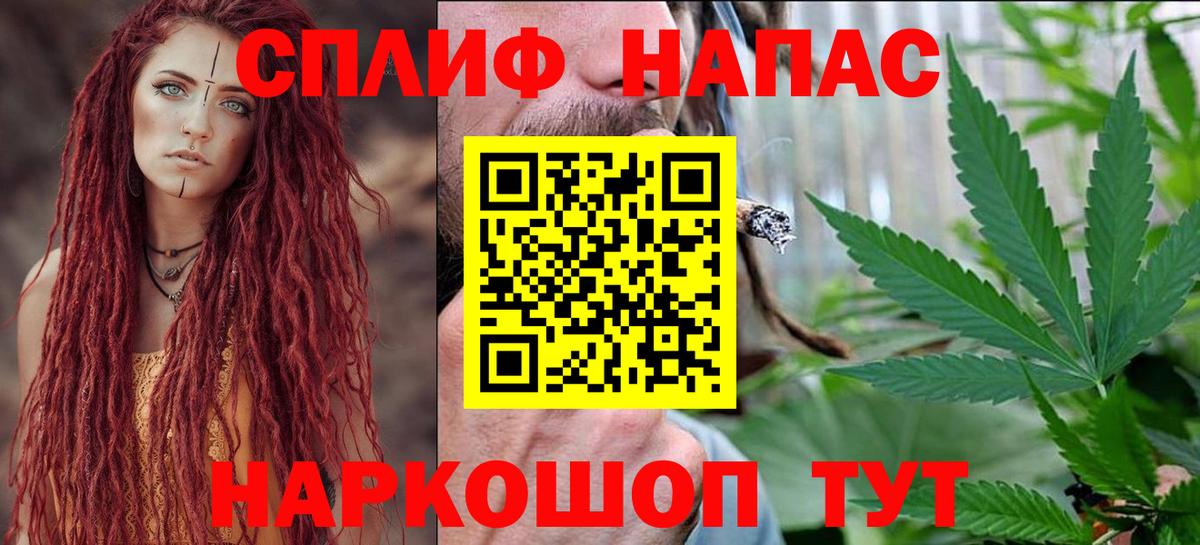 Бошки Шишки план Ярославль